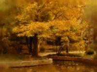 《維也納森林故事》