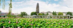 龍泉塔荷花塘