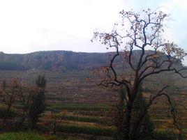 大輝泉村 大輝泉村