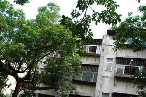 蛟湖路六號大院 蛟湖路六號大院