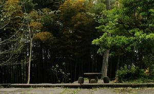 四川天馬山國家森林公園
