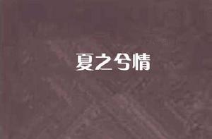 夏之兮情