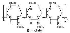 β-殼聚糖 β-殼聚糖