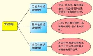 集中性行銷策略 集中性行銷策略