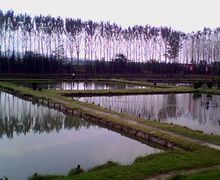 甘山國家森林公園