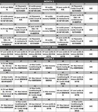 Insanity中文課表