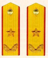 中國人民解放軍陸軍少將肩章(1988～2007)
