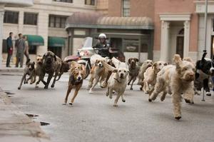 （圖）《狗狗之家》