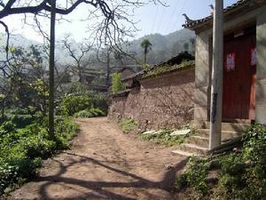 杉樹林自然村 杉樹林自然村