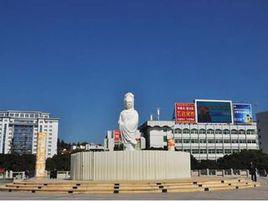 德化[福建省德化縣]