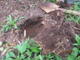 土壤管理 土壤管理