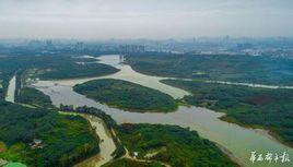 中央綠地 中央綠地