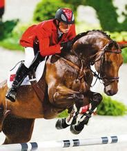 馬術團體場地障礙賽 馬術團體場地障礙賽