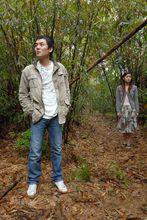 蝴蝶[台灣2008年張作驥執導劇情片]