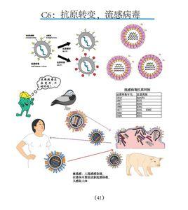 基因轉換 基因轉換
