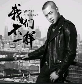 我們不一樣[大壯演唱歌曲]