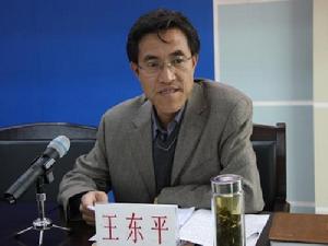 王東平[宜君縣政協黨組書記、主席]