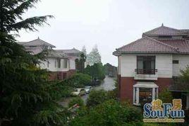 上海家天下花園別墅 上海家天下花園別墅