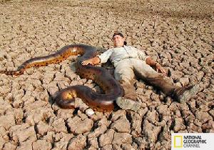 神秘巨蛇 神秘巨蛇