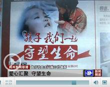 愛心匯聚，守望生命