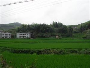 蔡徑村