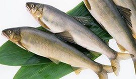 香魚[圖片]