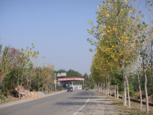 小河鎮[江西省贛州市信豐縣下轄鎮]