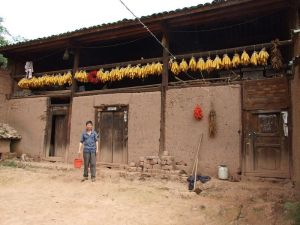 丫口子村 丫口子村