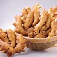 生薑瀉心湯 生薑瀉心湯