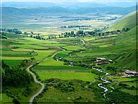 萬峰林場 萬峰林場