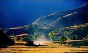 雲崗國家森林公園