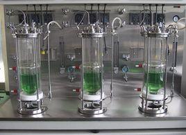 細胞固定化培養 細胞固定化培養