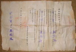 道路綠化 道路綠化