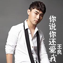你說你還愛我 你說你還愛我