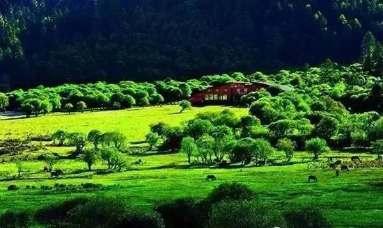 國內最清涼的25個避暑聖地,這才是七八月該去的地方!是時候挑一個出發了