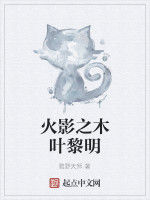 火影之木葉黎明 火影之木葉黎明