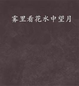 霧裡看花水中望月 霧裡看花水中望月