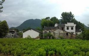 屏山一村 屏山一村