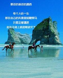 要活就活得瀟灑 要活就活得瀟灑