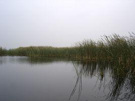 彭杜村鄉 彭杜村鄉