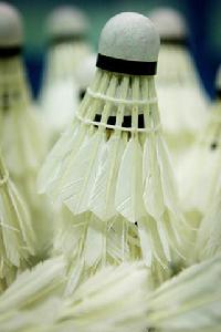 世界羽毛球錦標賽