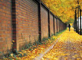 北京深秋的晚上 北京深秋的晚上