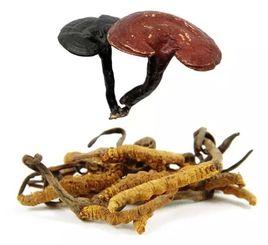 蟲草靈芝 蟲草靈芝