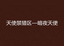 天使禁獵區—暗夜天使 天使禁獵區—暗夜天使