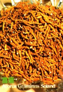 含化菖蒲煎 含化菖蒲煎