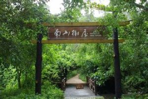 南山樹屋 南山樹屋