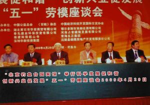 2009年4.29北京釣魚台國賓館舉行“科學發展促和諧，創新興業促發展”五一勞模座談會九屆全國政協副主席王文元，中宣部新聞局局長王福如，中央電視台台長楊波，中國慈善總會會長方誌新等在主席台上1