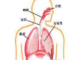 換氣過度綜合徵 換氣過度綜合徵