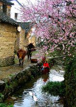 龍門鎮[浙江省杭州市富陽區龍門鎮]