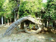 增城市旅遊景點